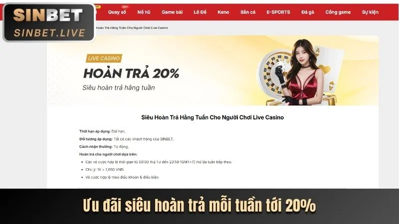 Hỗ trợ marketing